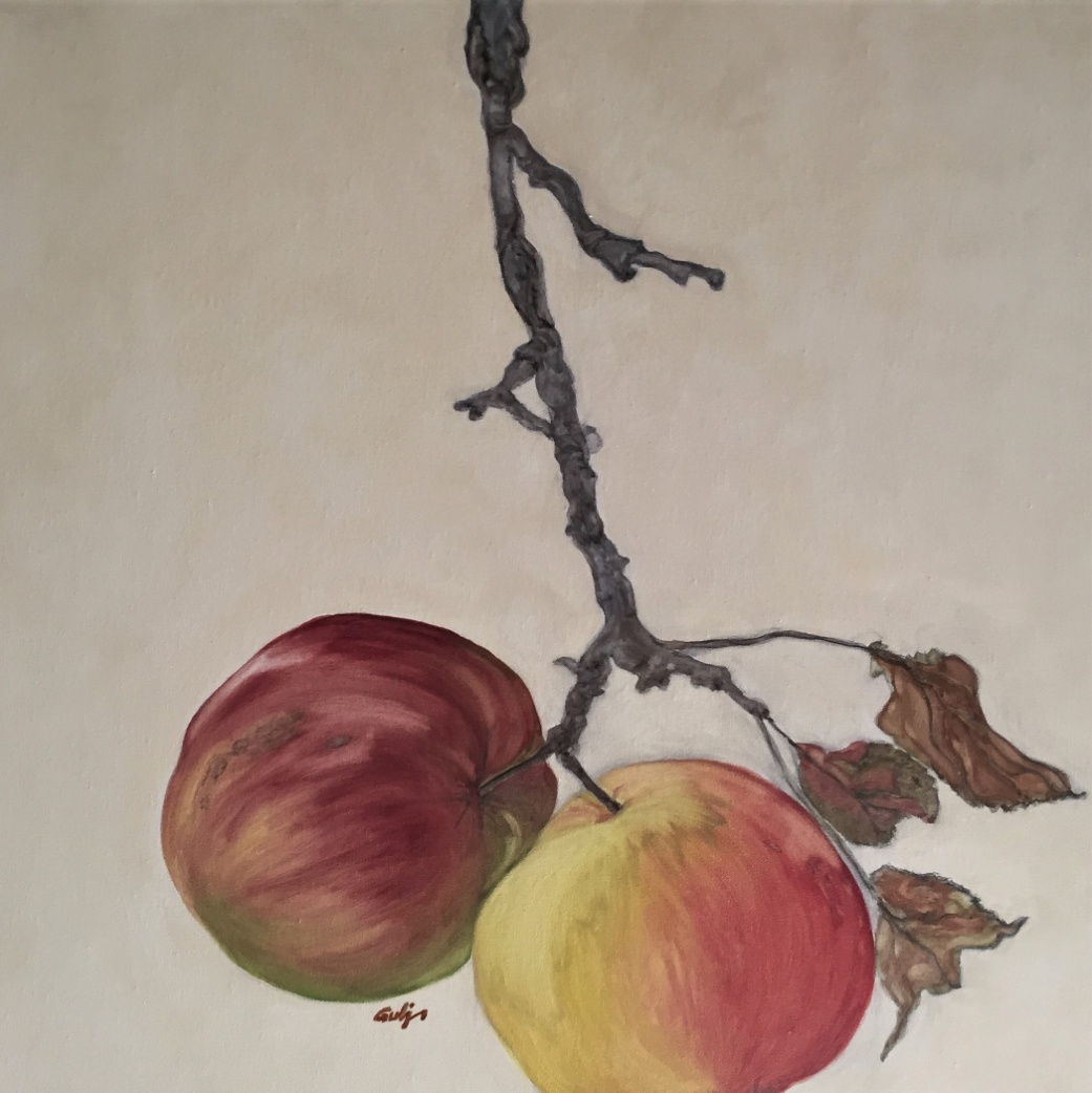 Zwei Äpfel am Ast, 50 x 50 cm